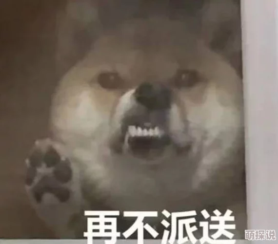 为何“东北少妇和公猪交”能吸引眼球因为它挑战了社会伦理道德的底线