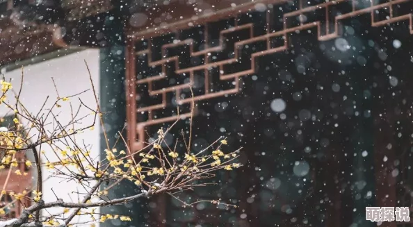严雨霏 张婉莹 罗智莹因其才华横溢个性鲜明风格独特而备受欢迎