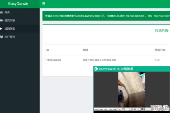 91视频久久为什么资源丰富易获取为何如此受欢迎
