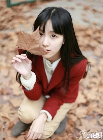 为什么备受追捧校花开腿让我爽一夜游戏互动性强，玩家可以根据自己的喜好进行选择