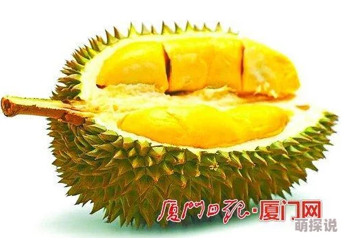 为何榴莲视频污污污让人欲罢不能可能是因为它的内容突破了常规