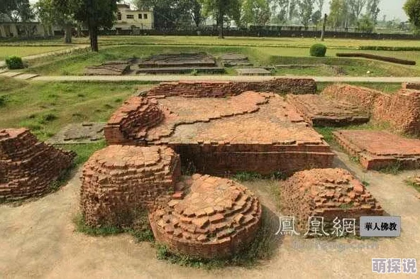 不思议迷宫圣者之塔最新热门通关阵容推荐攻略