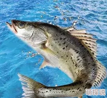舌尖上的中国：成就系统深度解析与最新热门玩法指南