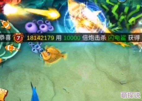 捕鱼来了！2024狂枭幻影海鸮炮衣最新热门外观图鉴大全