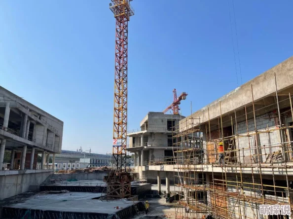 2024仙境传奇技能搭配秘籍：最新热门符文选择攻略解析