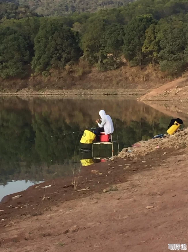 逍遥吟手游全新帮派系统深度玩法与热门规则解析