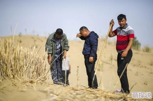 绝地求生刺激战场：极寒模式树枝高效获取攻略详解