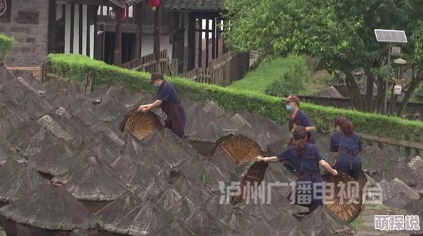 阴阳师河畔童谣10层妖怪全攻略：出处关卡与每层分布详解
