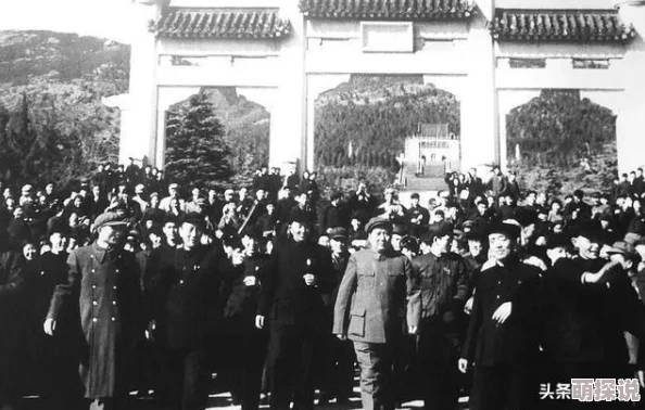 2024热门问道手游木系玩法深度技巧与最新攻略解析