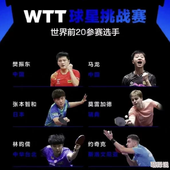2024热门五虎战将手游阵容搭配与玩法选择推荐指南
