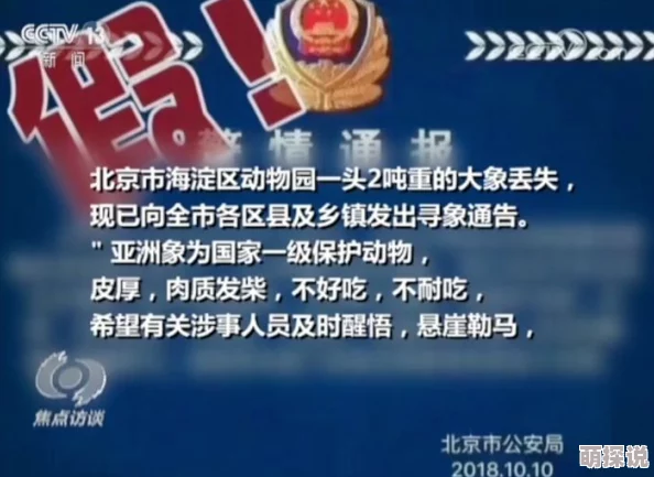 九色在线视频平台涉嫌传播非法色情内容已被警方查封