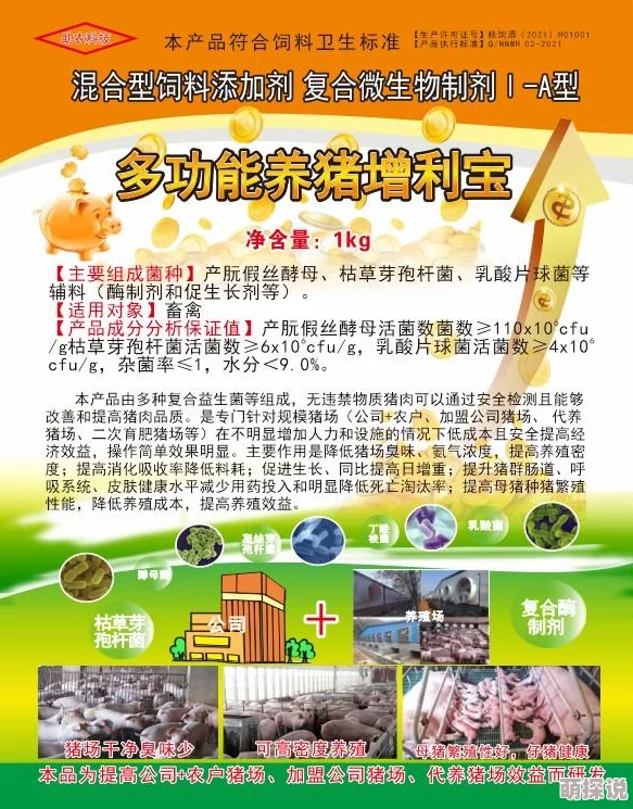 逼肥2025养殖新风向精准营养助力高效健康养殖