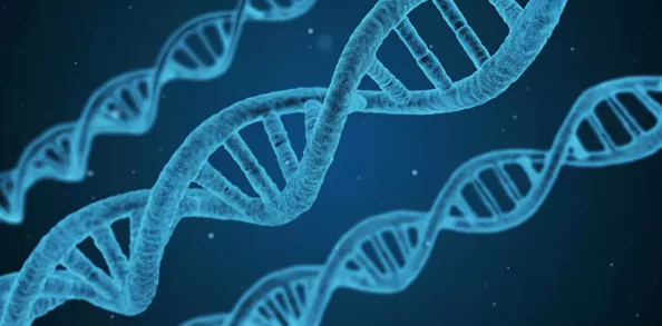 黑舍料2025生物科技新突破或将解决全球粮食危机