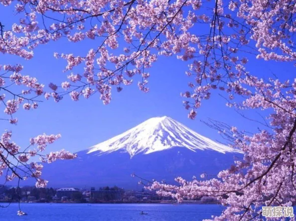 Japan.av2025沉浸式虚拟旅行体验带你畅游东瀛