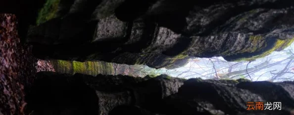 一线天穴2025探险新发现奇异萤光植物引关注