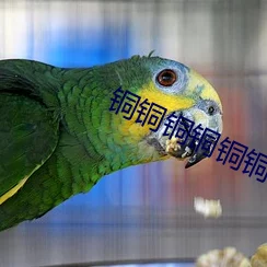 铜铜铜铜铜铜铜铜好多水网站2025全球元宇宙大会盛大开幕探索未来无限可能