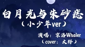 香月杏珠：治愈系作品为何受欢迎？是温柔的笔触，还是深刻的思想？
