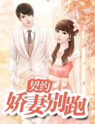 顾少的隐婚罪妻小说霸道总裁爱上AI娇妻契约婚姻先婚后爱