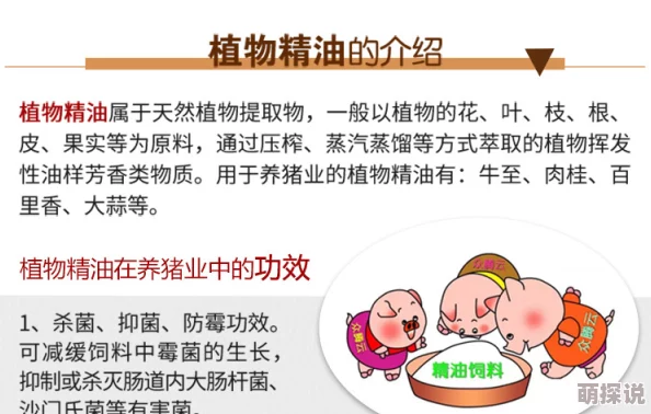 男男灌肠2025肠道健康新疗法益生菌群平衡与身心调理